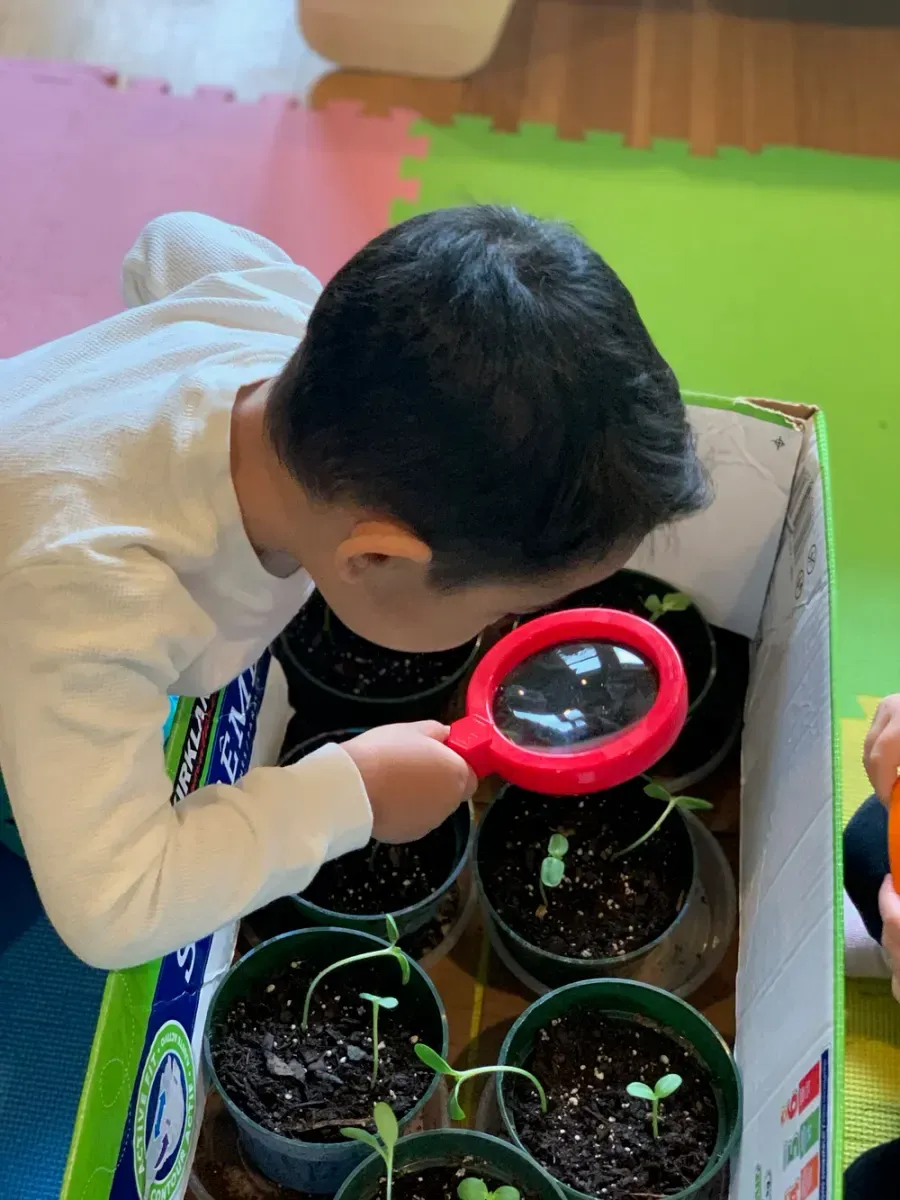 A child inspecting seedlings with a magnifying glass